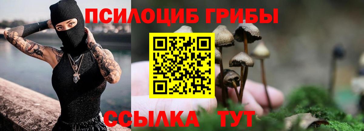 Псилоцибиновые грибы ЛСД  Псилоцибиновые грибы ЛСД  Вход с VPN  Нововоронеж 